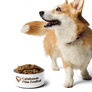 CFF 2023 Pet bowl