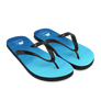 Flip-Flops