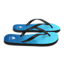 Flip-Flops